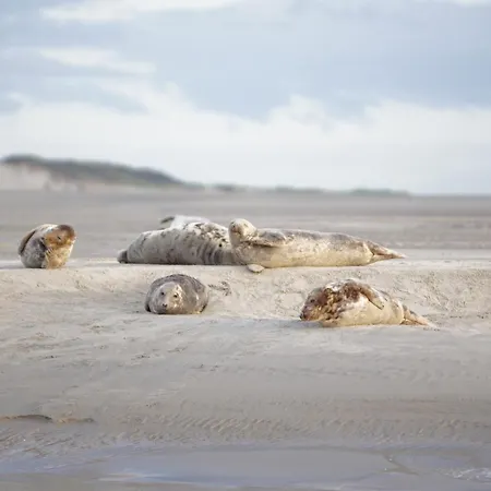 Evasion En Baie De Somme 700m Et Phoques Le Cabestan Lägenhet