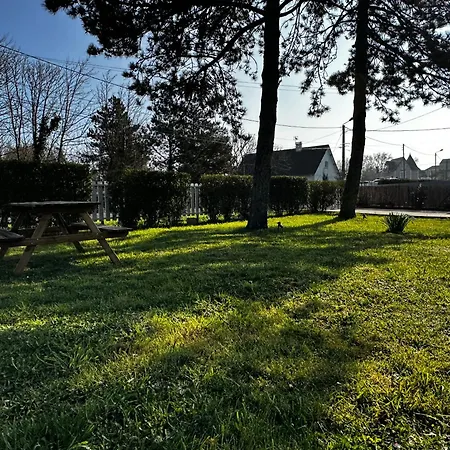 Evasion En Baie De Somme 700m Et Phoques Le Cabestan *