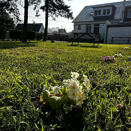 Appartement Evasion En Baie De Somme 700m Et Phoques Le Cabestan *