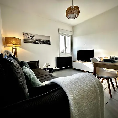 Evasion En Baie De Somme 700m Et Phoques Le Cabestan *